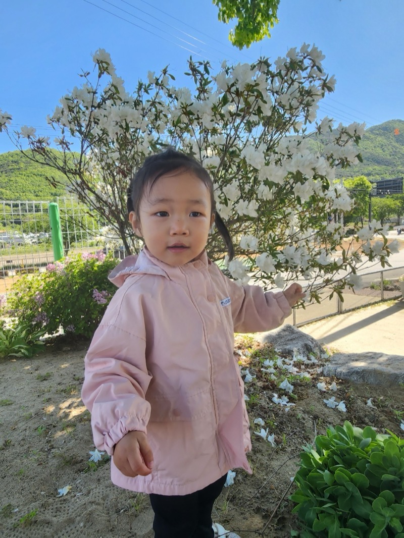 자연놀이 활동 사진 6