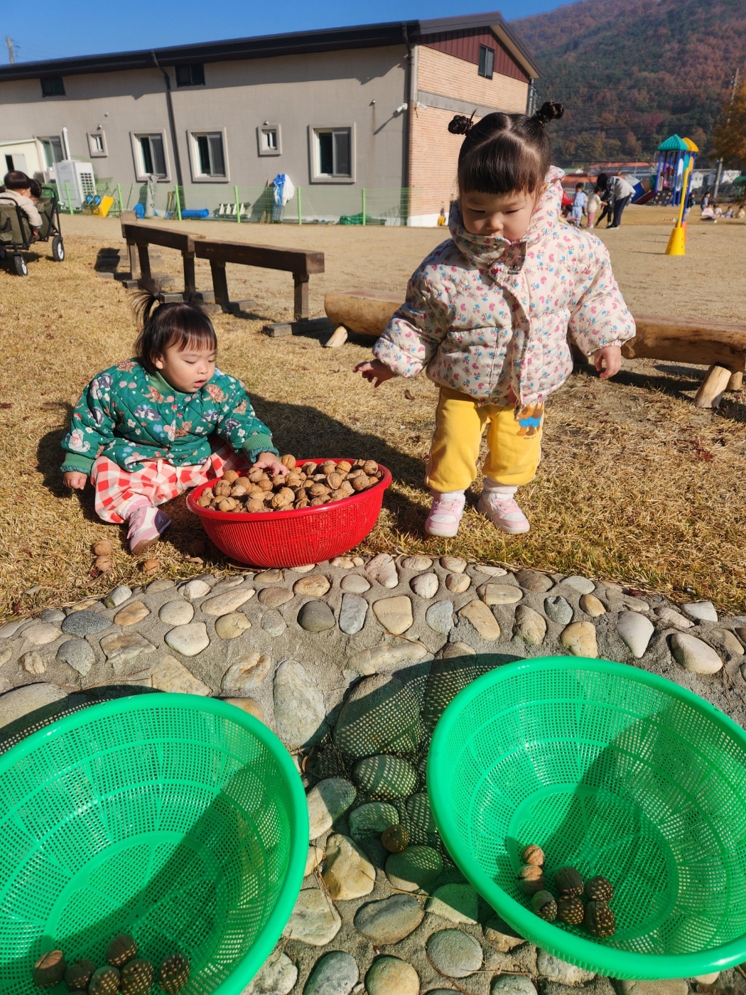 가을 활동 사진 4