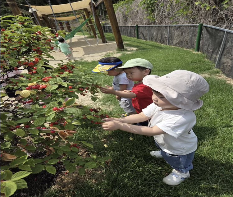 봄 활동 사진 2