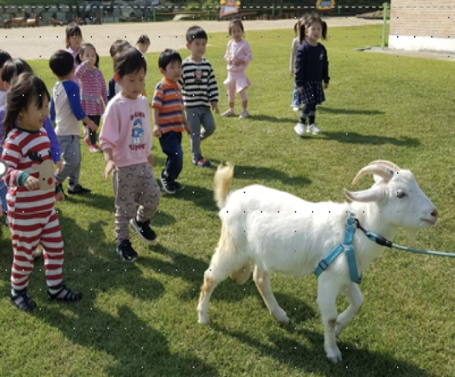 봄 활동 사진 4